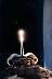 SunsReflectionSTS75.gif